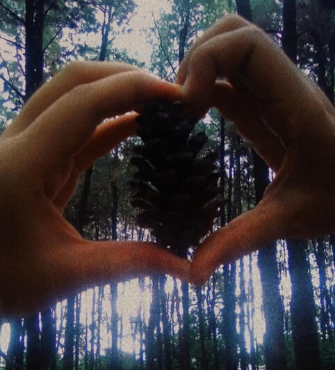 Say hello to friendship.